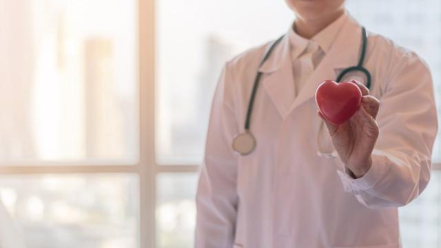 Un cardiologue tient un cœur dans sa main.