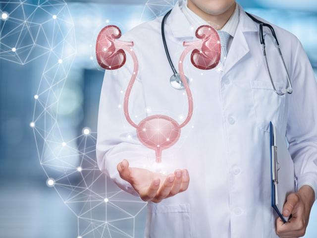 urologie