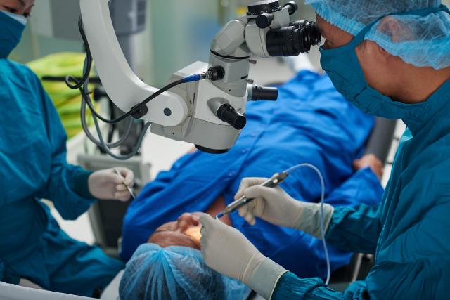 Des reins dans un corps humain